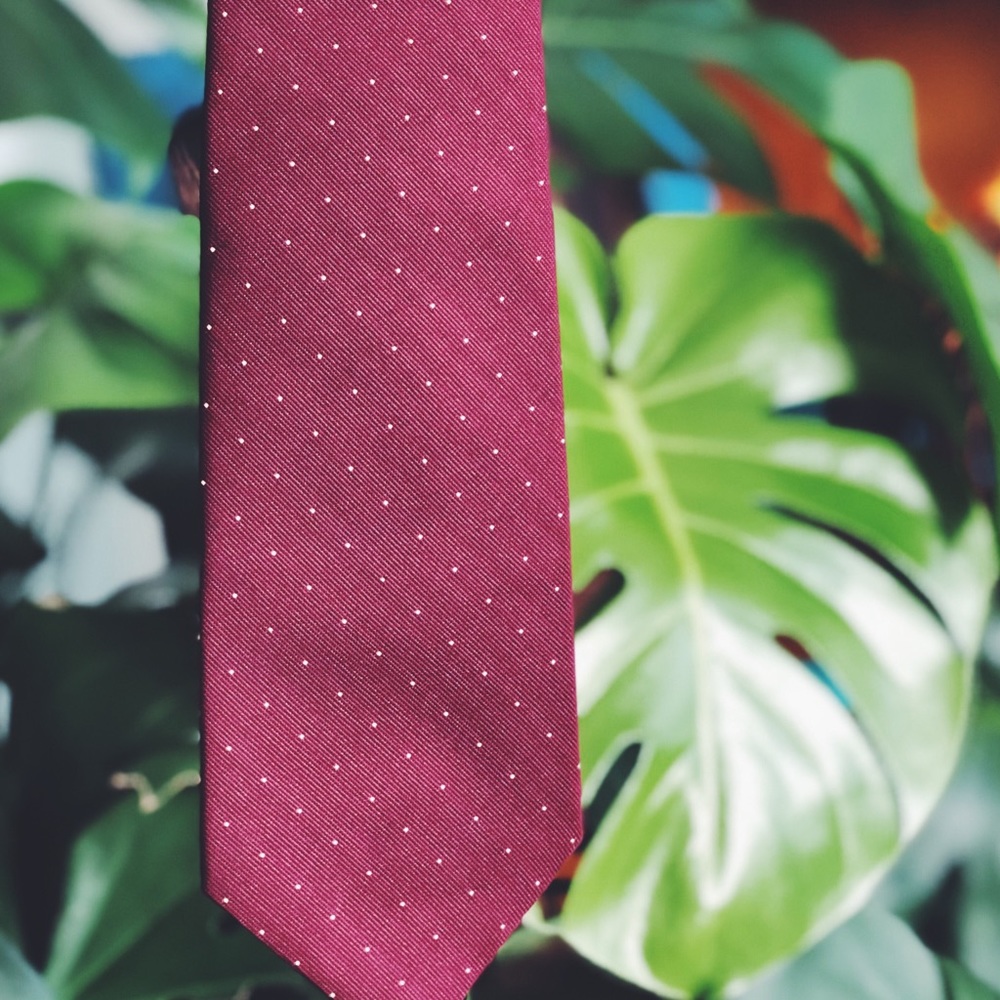 ➳ ℙ𝕠𝕣𝕥𝕖𝕣 𝕊𝕥𝕖𝕧𝕖𝕟𝕤 New Orleans Necktie ➳